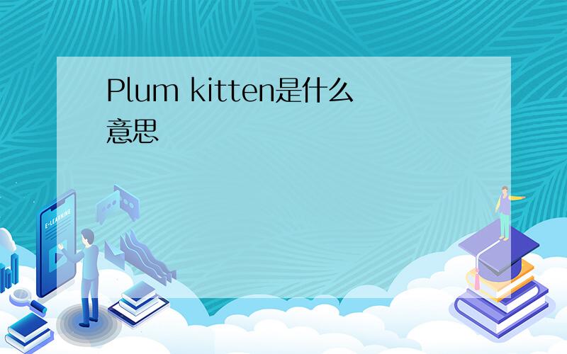 Plum kitten是什么意思