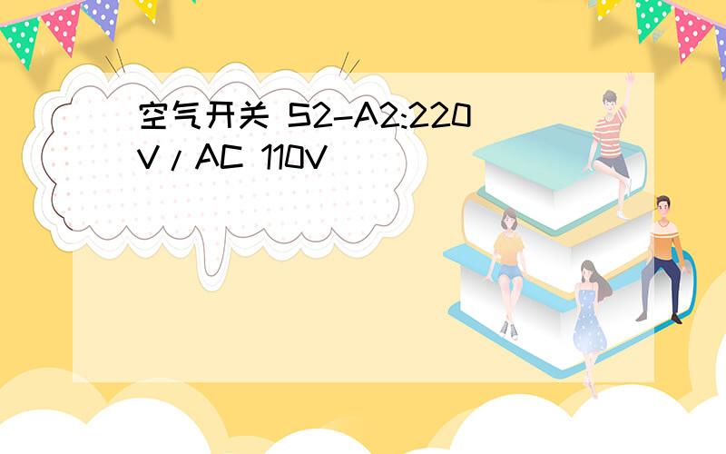空气开关 S2-A2:220V/AC 110V