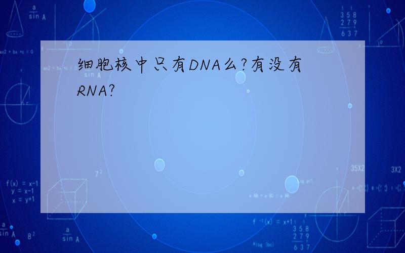 细胞核中只有DNA么?有没有RNA?