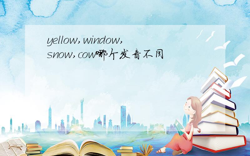 yellow,window,snow,cow哪个发音不同