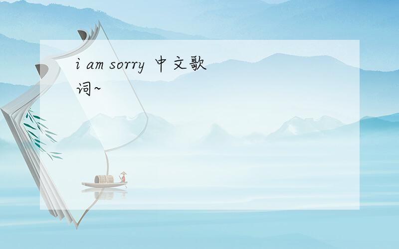 i am sorry 中文歌词~
