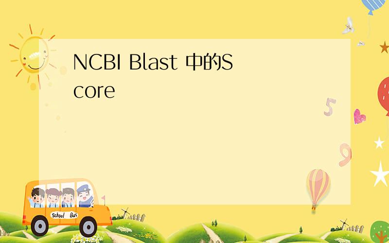 NCBI Blast 中的Score