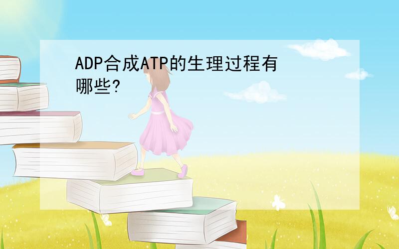 ADP合成ATP的生理过程有哪些?