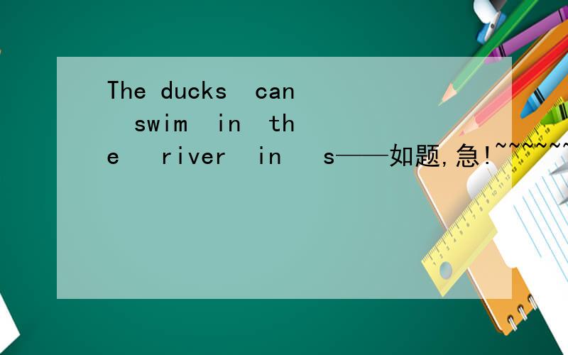 The ducks  can  swim  in  the   river  in   s——如题,急!~~~~~~