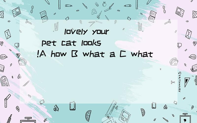 ___lovely your pet cat looks!A how B what a C what